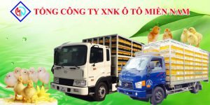 Xe Tải Hyundai Chở Gia Cầm